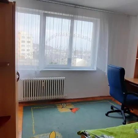 Apartament Confortabil Cu View Remarcabil *